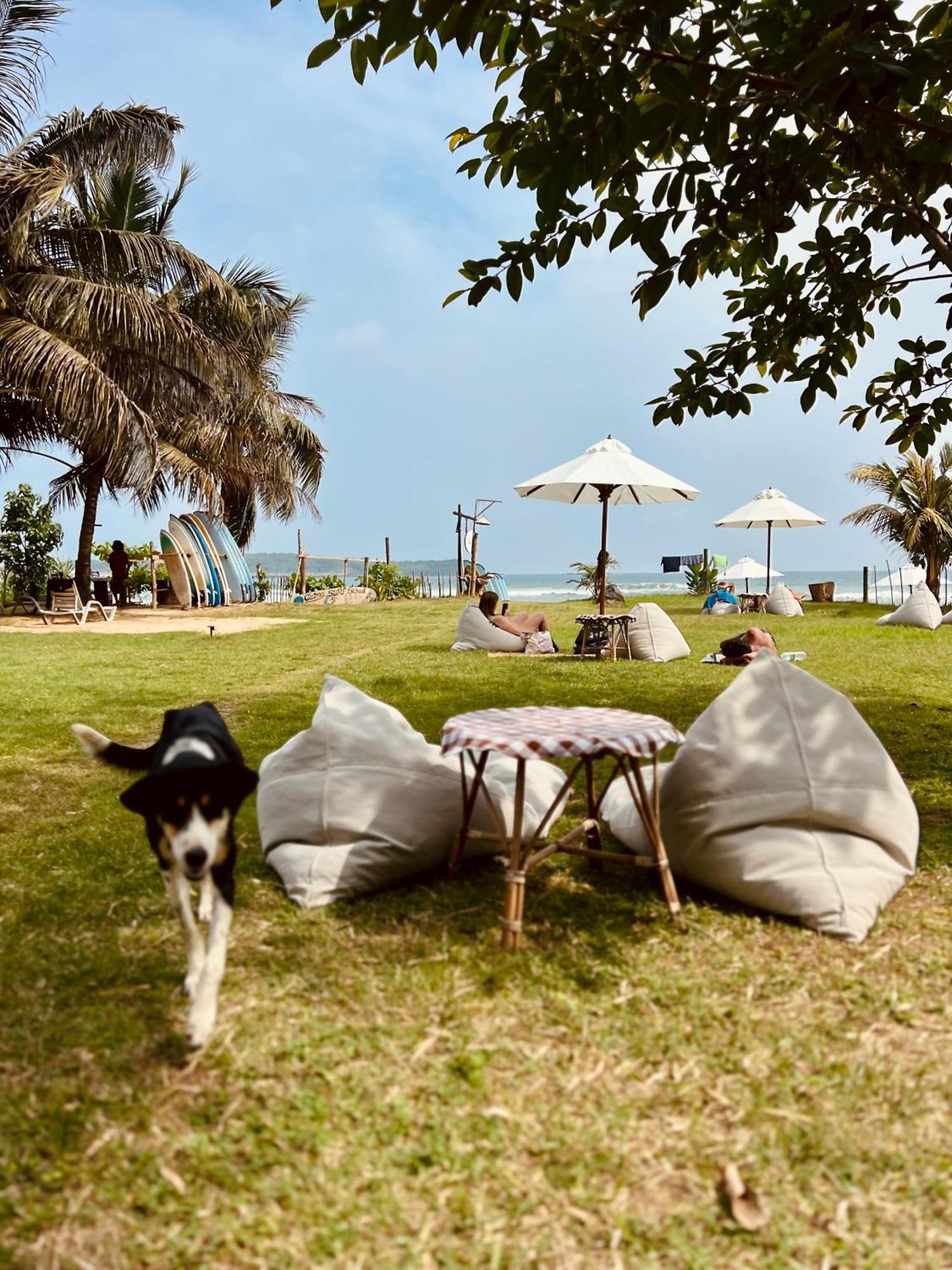 Calma - Surf, Yoga & Coffee On A Private Beach ディックウェラ エクステリア 写真